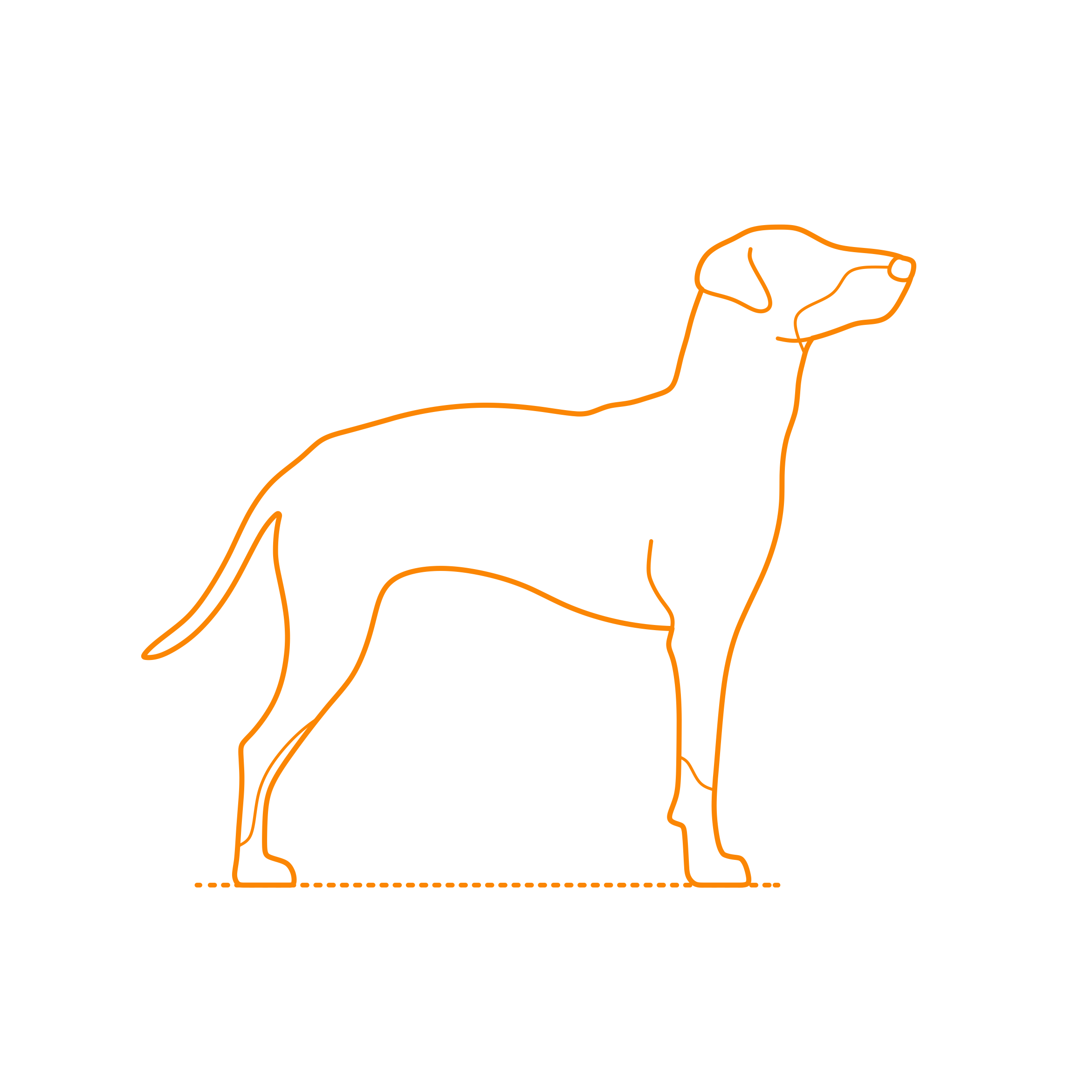 Animals Dogs Manchester Terrier Outline Svg File Free Vectors